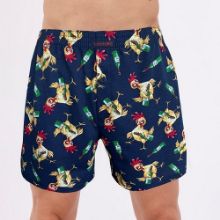 Obrázek z CTT BOX CLASSIC 011/186 3XL 